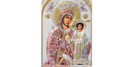 Нев'янучий Цвіт Метеоровська (2)