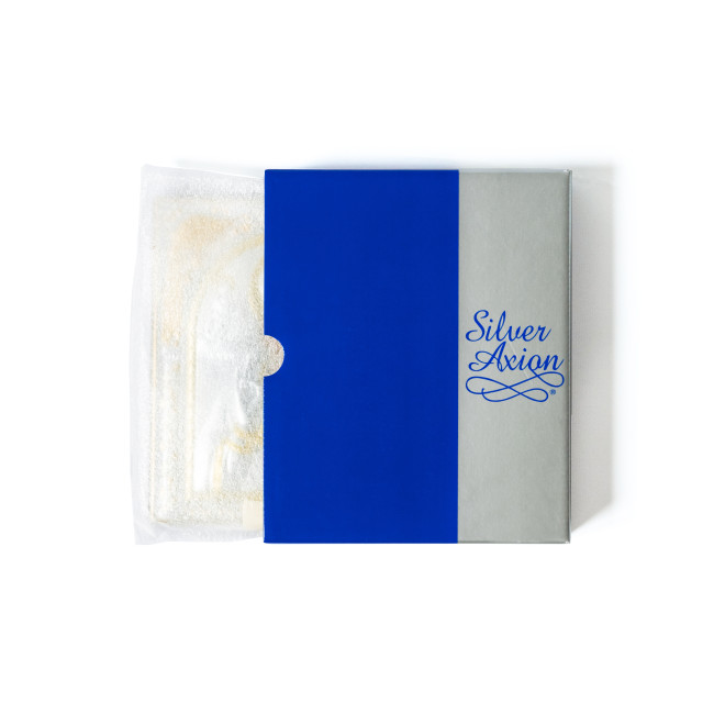 Всецариця Небесна 15х20см Божа Матір срібна іконаі